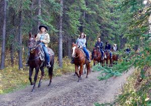 Fun at Nearby Lake Tabeaud | Gold Country Campground