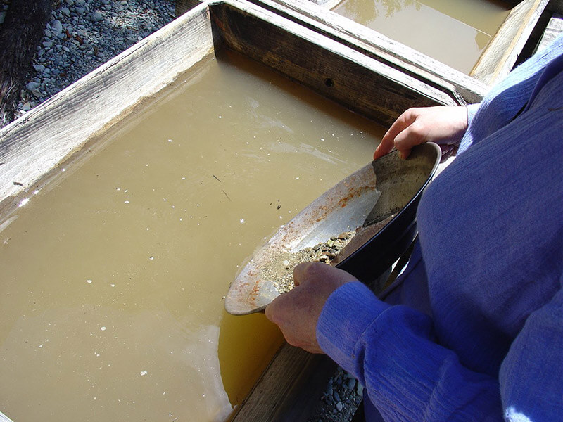 Gold Mining near Gold Country Campground Resort