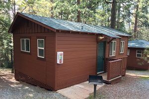 Cabin Glamping in Pine Grove