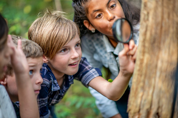 nature scavenger hunt