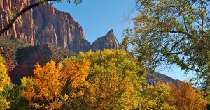 California in the fall