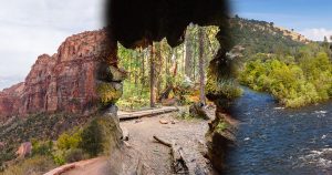 california state parks